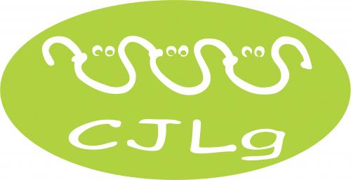Centre Jeunesse - Liège